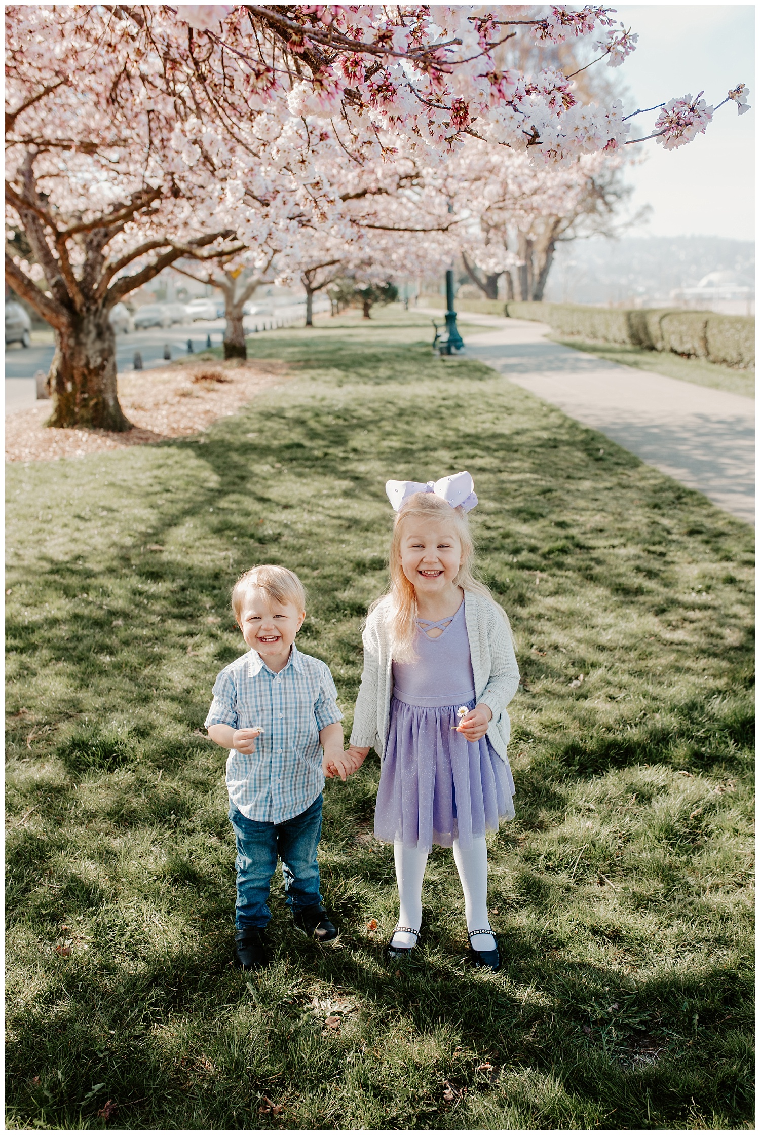 spring blossom family pictures at Grand Avenue, Everett Washington  + Snohomish Family Photographer 