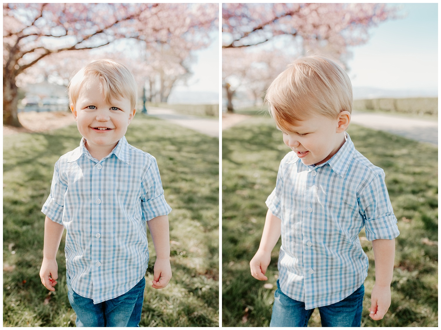 spring blossom family pictures at Grand Avenue, Everett Washington + Snohomish Family Photographer