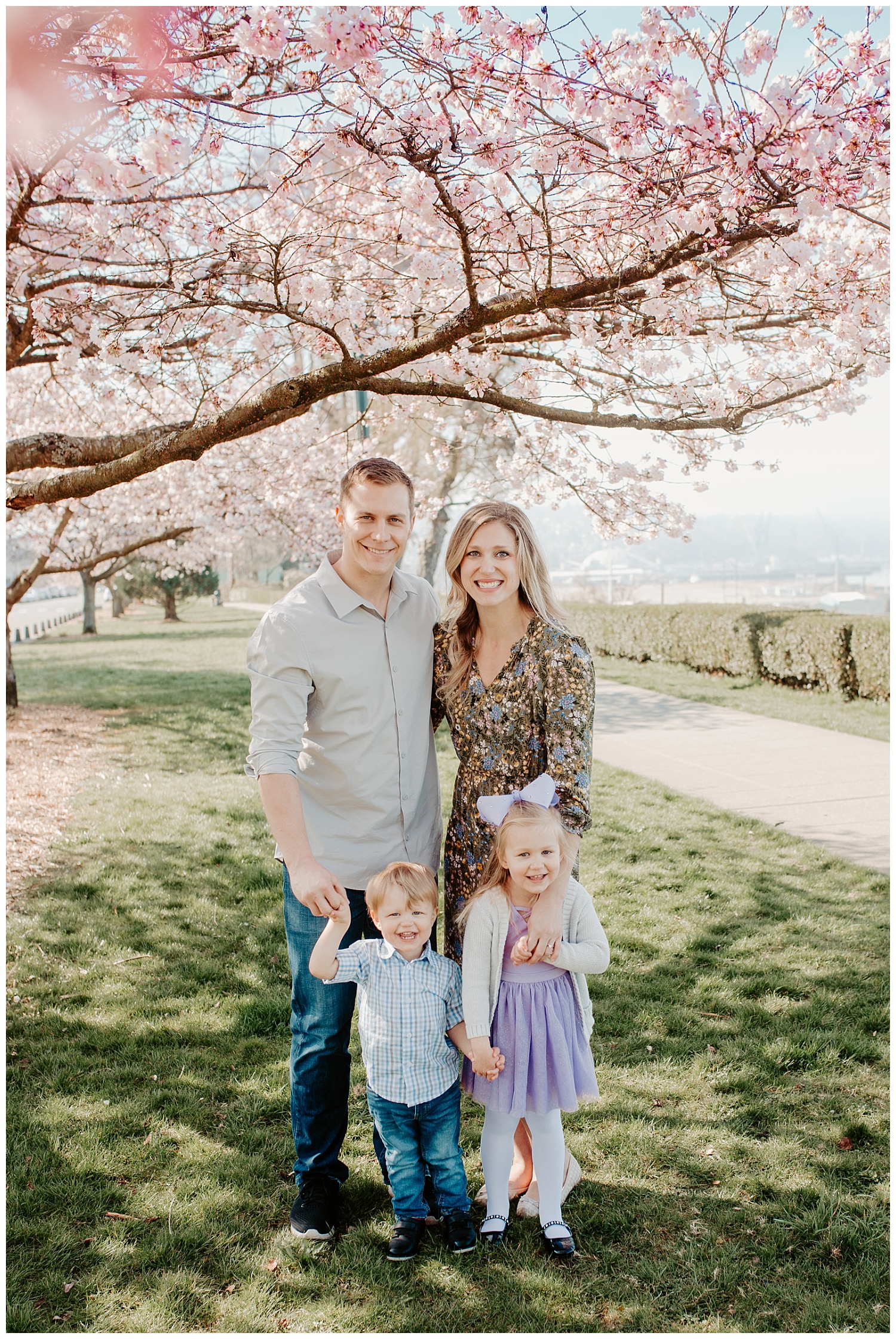 spring blossom family pictures at Grand Avenue, Everett Washington  + Snohomish Family Photographer 