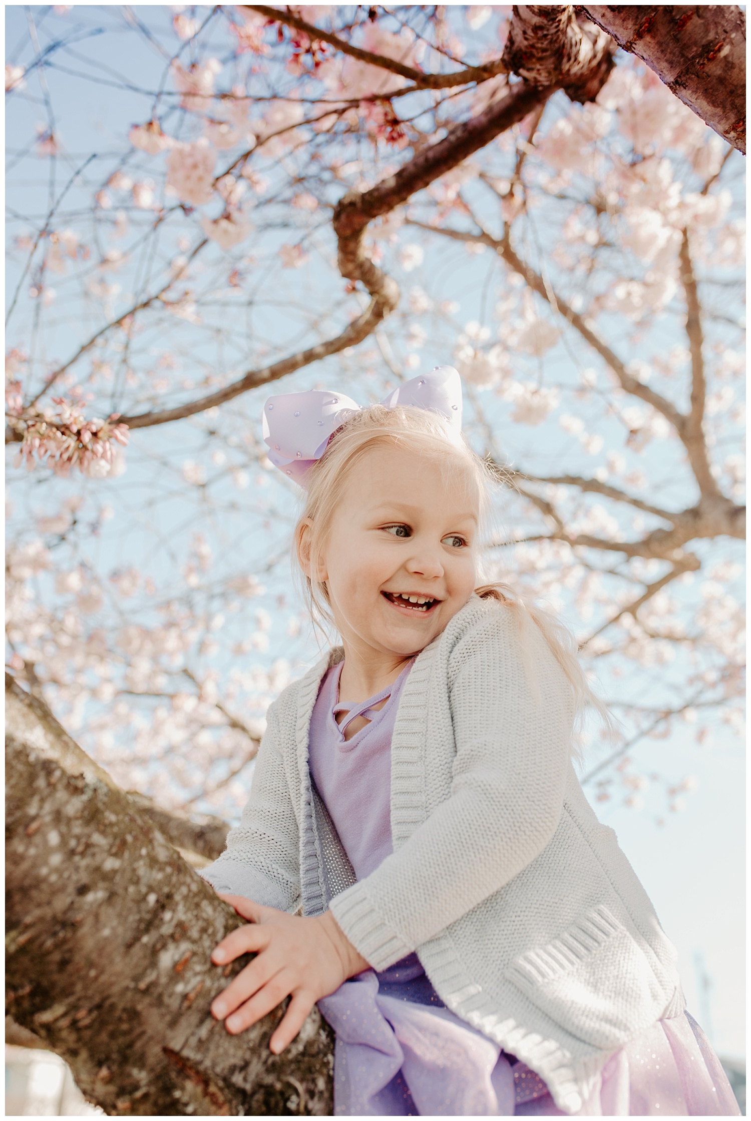 spring blossom family pictures at Grand Avenue, Everett Washington  + Snohomish Family Photographer 