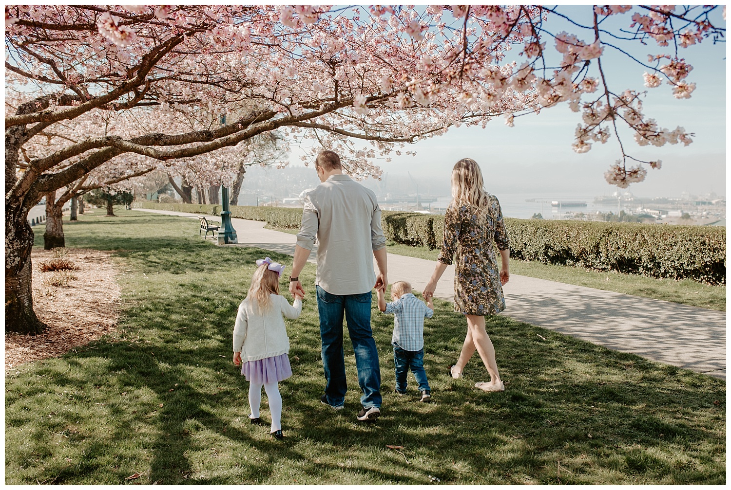 spring blossom family pictures at Grand Avenue, Everett Washington  + Snohomish Family Photographer 