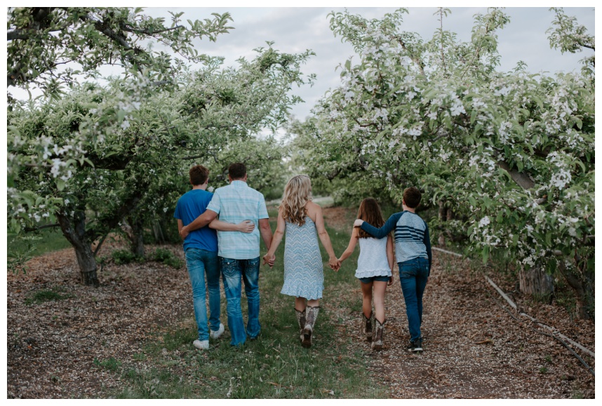 family photos in apple orchard in blue outfits lake chelan