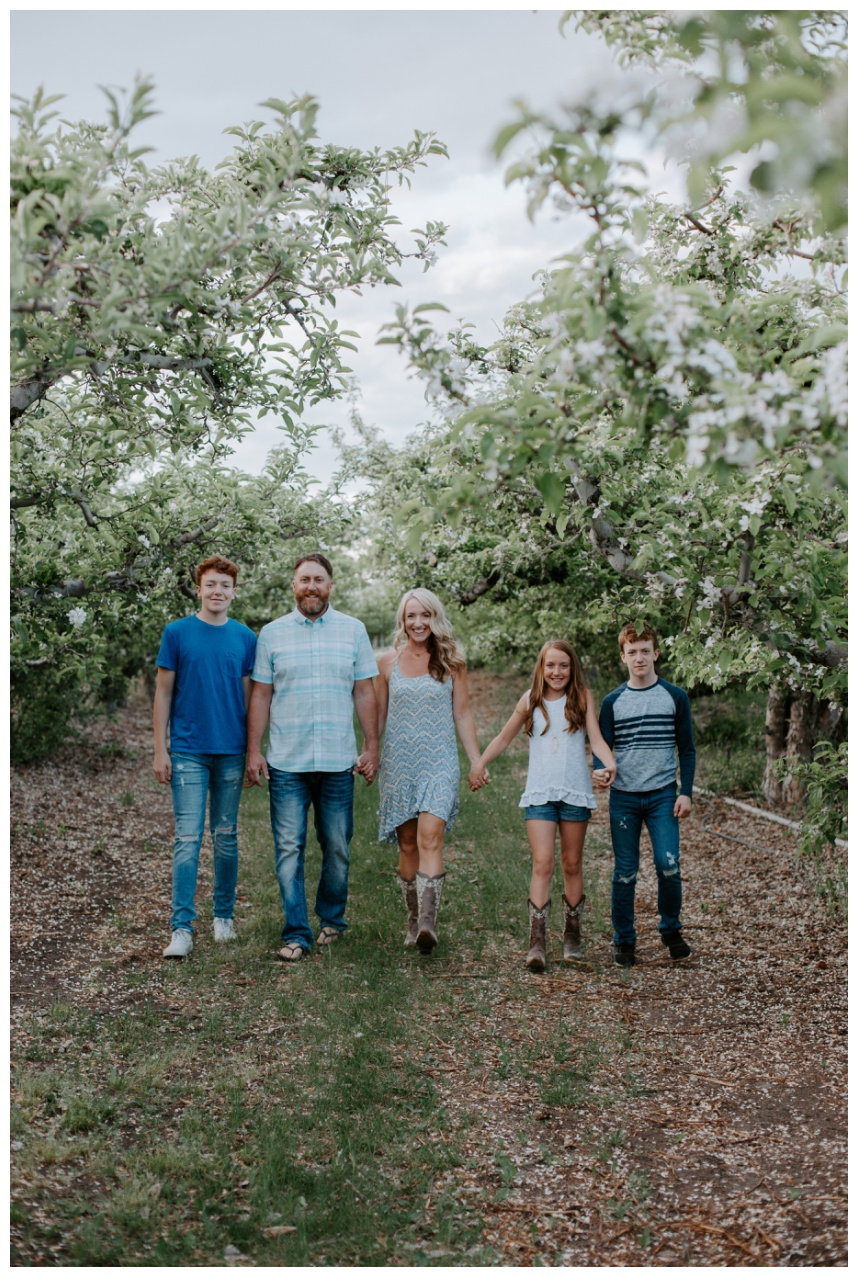 family photos in apple orchard in blue outfits lake chelan