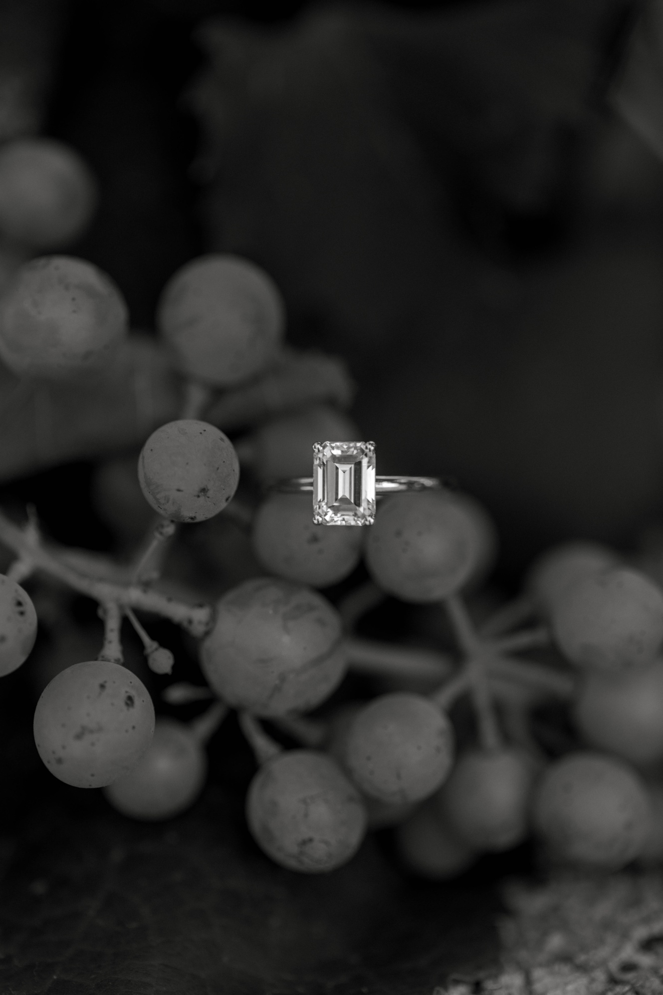 Four Lakes Winery Chelan Proposal with chelan wedding photographer